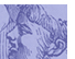 CATHOLIC APOLOGETICA