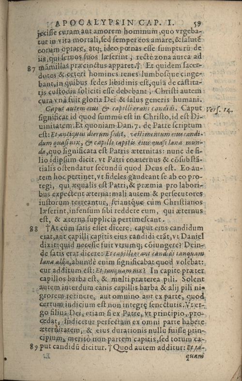 In sacram beati Ioannis Apostoli and Evangelistae Apocalypsin Commentarii by Francisci Riberae, Presbyteri Societatis Iesu, 1602 edition in Latin - read online free