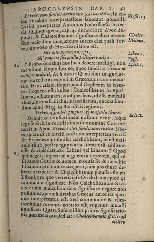 In sacram beati Ioannis Apostoli and Evangelistae Apocalypsin Commentarii by Francisci Riberae, Presbyteri Societatis Iesu, 1602 edition in Latin - read online free