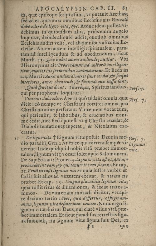 In sacram beati Ioannis Apostoli and Evangelistae Apocalypsin Commentarii by Francisci Riberae, Presbyteri Societatis Iesu, 1602 edition in Latin - read online free