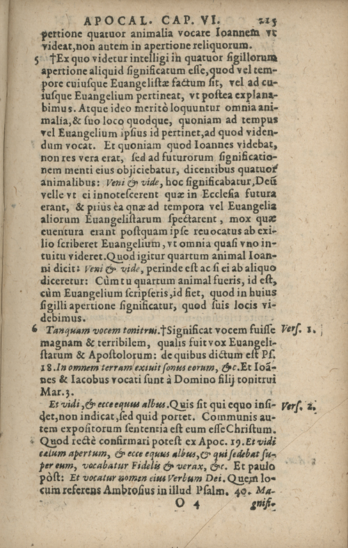 In sacram beati Ioannis Apostoli and Evangelistae Apocalypsin Commentarii by Francisci Riberae, Presbyteri Societatis Iesu, 1602 edition in Latin - read online free