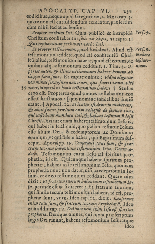 In sacram beati Ioannis Apostoli and Evangelistae Apocalypsin Commentarii by Francisci Riberae, Presbyteri Societatis Iesu, 1602 edition in Latin - read online free