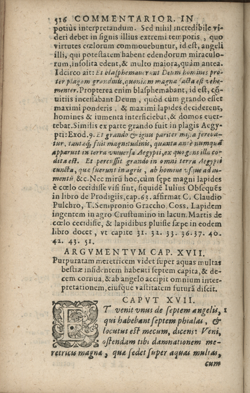 In sacram beati Ioannis Apostoli and Evangelistae Apocalypsin Commentarii by Francisci Riberae, Presbyteri Societatis Iesu, 1602 edition in Latin - read online free
