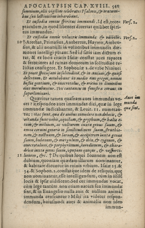 In sacram beati Ioannis Apostoli and Evangelistae Apocalypsin Commentarii by Francisci Riberae, Presbyteri Societatis Iesu, 1602 edition in Latin - read online free