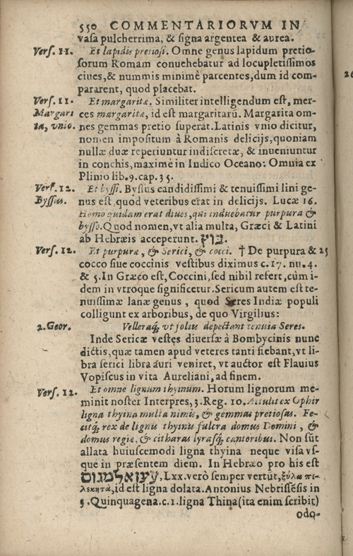 In sacram beati Ioannis Apostoli and Evangelistae Apocalypsin Commentarii by Francisci Riberae, Presbyteri Societatis Iesu, 1602 edition in Latin - read online free