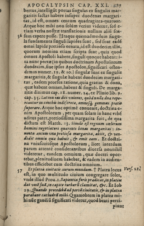 In sacram beati Ioannis Apostoli and Evangelistae Apocalypsin Commentarii by Francisci Riberae, Presbyteri Societatis Iesu, 1602 edition in Latin - read online free