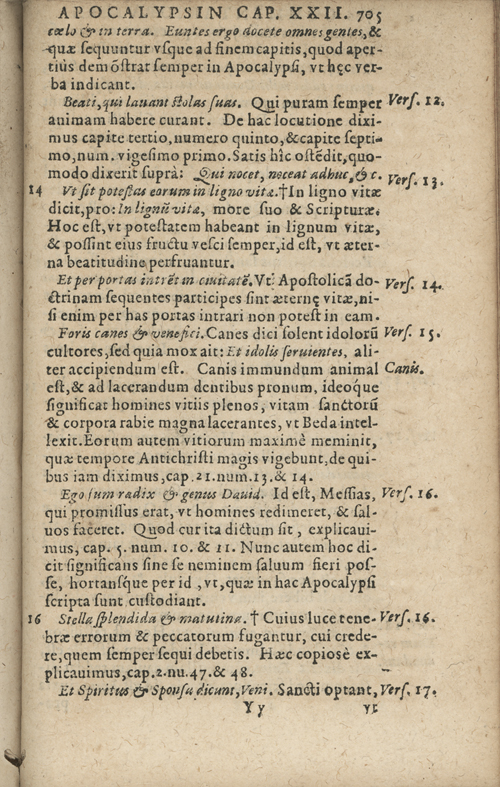 In sacram beati Ioannis Apostoli and Evangelistae Apocalypsin Commentarii by Francisci Riberae, Presbyteri Societatis Iesu, 1602 edition in Latin - read online free