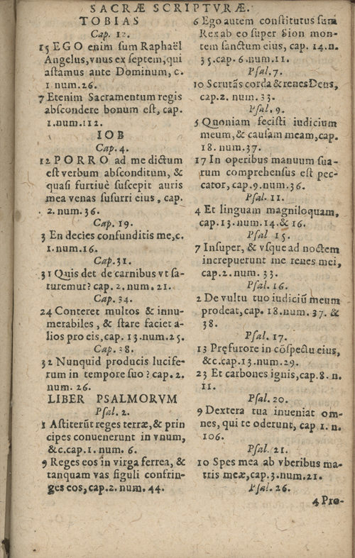 In sacram beati Ioannis Apostoli and Evangelistae Apocalypsin Commentarii by Francisci Riberae, Presbyteri Societatis Iesu, 1602 edition in Latin - read online free
